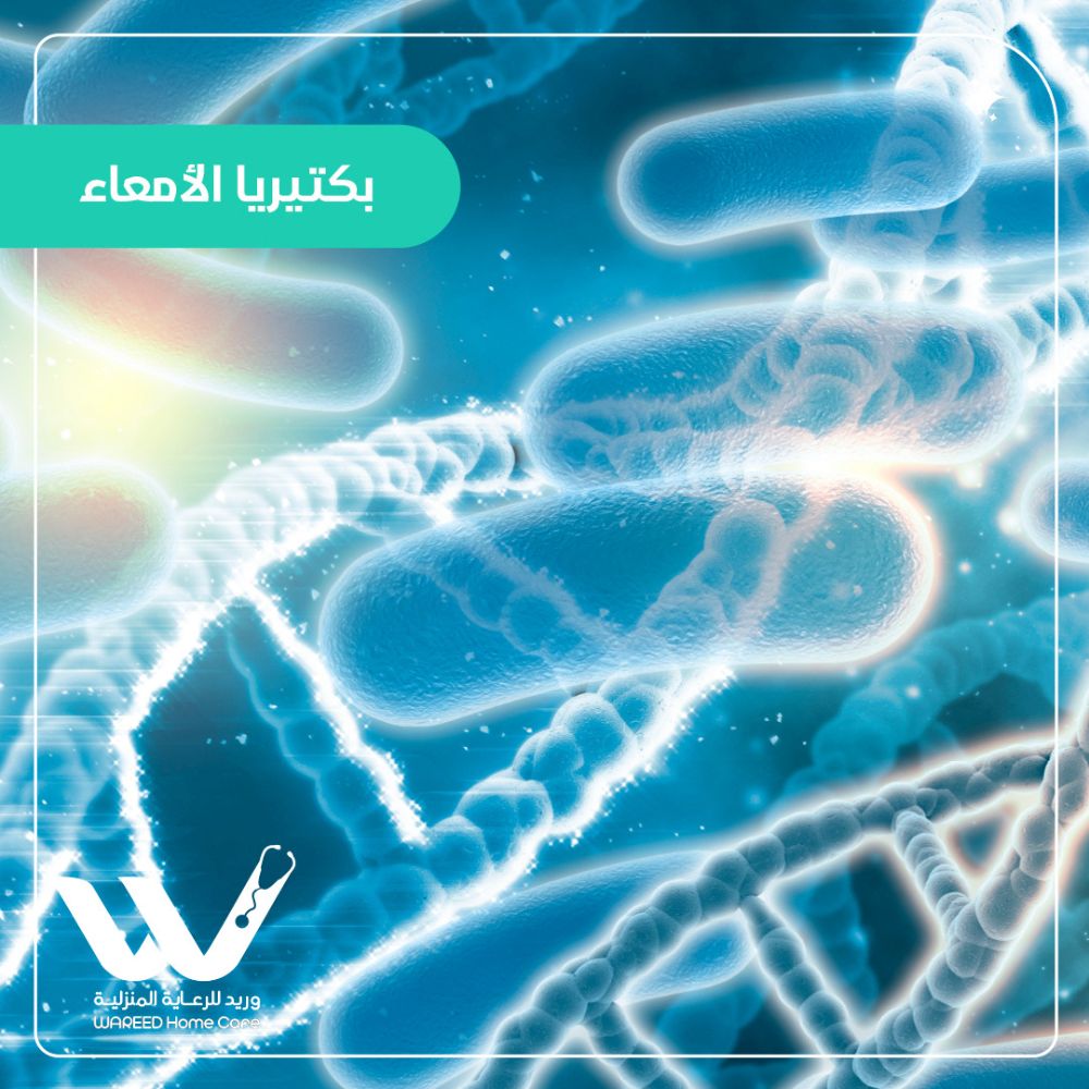 أهمية بكتيريا الأمعاء لصحة الجسم